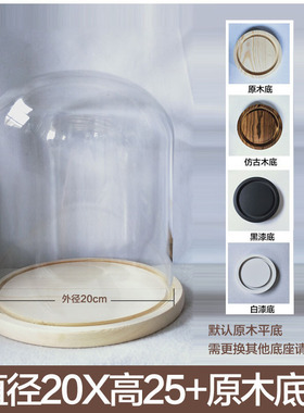 摆设圣诞树玻璃瓶球形玻璃罩品永生花模型密封罐装饰古玩圆罩