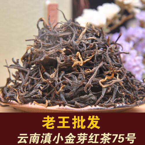 【老王】小金芽滇红云南临沧凤庆茶城茶叶红茶