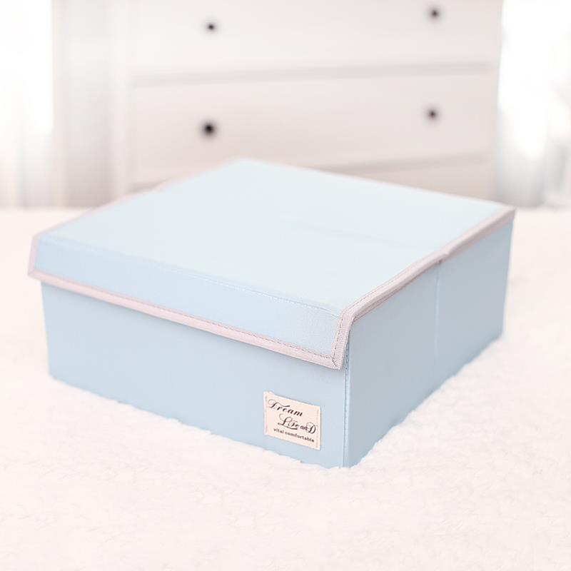 高档七秀胸文收纳盒 放胸罩盒子内 柜衣整理箱衣神器单个装抽屉式