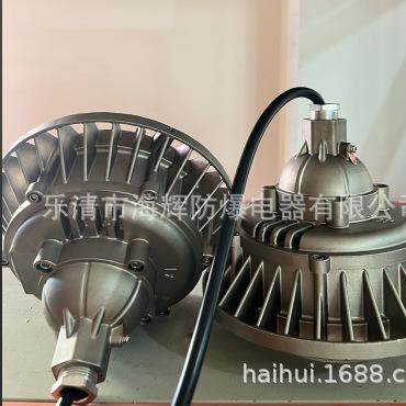 不锈钢LED防爆灯20W30W40W50W80W100W带防爆合格证