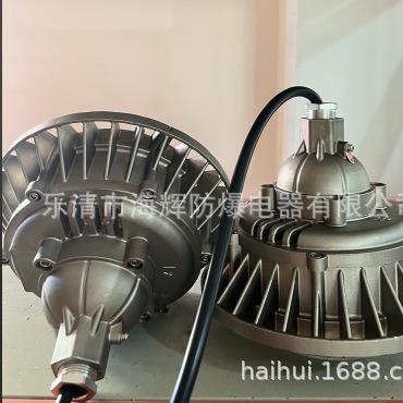 不锈钢LED防爆灯20W30W40W50W80W100W带防爆合格证