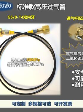 高压过气管30MPa压力软管G5/8氩氧气内牙带开关压力表耐高压 定制
