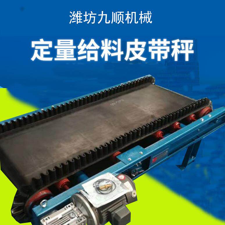 厂家供应生产电子皮带秤配料计量称高准度皮带称定量皮带电子秤