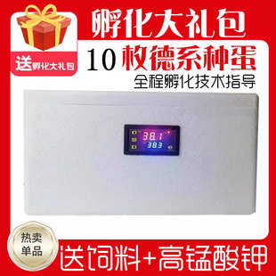 智能箱鸭孵化器芦丁鹦鹉孵化鸽子小型水床家用小鸡机鹅鸡孵蛋恒温