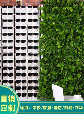 2米植物墙自动灌溉鲜活植物屏风BG塑料懒人花盆无土栽培水培设备