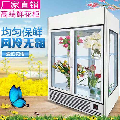 花店鲜花保鲜柜冷藏风冷立式双门花艺花柜鲜花店用展示柜冰箱冰柜