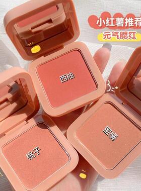 推荐腮红2023新晒红高光修容可携式哑光细闪元气橘色提亮正品