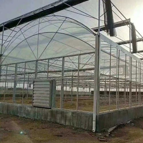 农业养殖种植大棚 镀锌钢管温室大棚建设 双膜骨架温室大棚