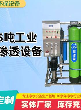 0.5吨工业反渗透设备全自动双级预处理商用净水器工业纯水设备