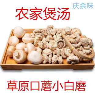 张家口张北特产坝上草原口蘑干货净重500克煲汤炒菜炖肉食材