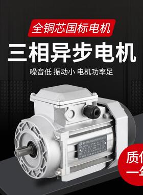 旭派YE2/YS/Y2三相异步电动机 380V全铜线铝壳电机 减速电机马达