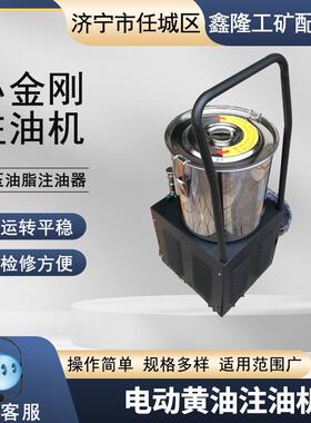 便携式高压油脂注油器220V BFY-80电动高压注油机 电动 供应