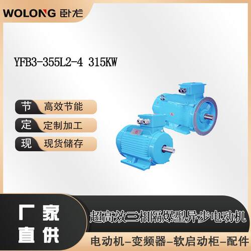 YFB3-355L2-4315W高低压防爆电机复合型防爆电机卧龙南阳