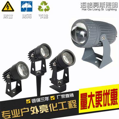 LED投光灯 防水投射灯户外小射灯瓦楞瓦片灯插泥地插灯一束光聚光
