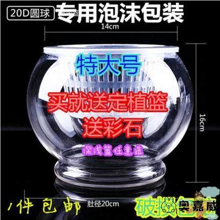 【特大号】水培植物玻璃瓶 水培绿萝花瓶花盆玻璃圆球 鱼缸容器皿