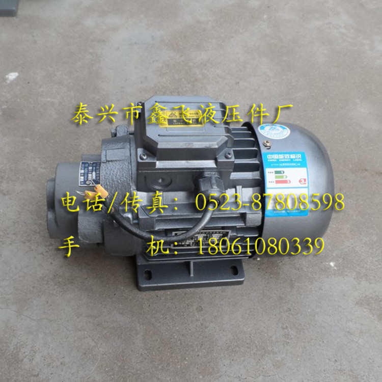 CB-B2.5JZ CB-B4JZ CB-B6JZ CB-B10JZ直插式齿轮油泵电机组合装置