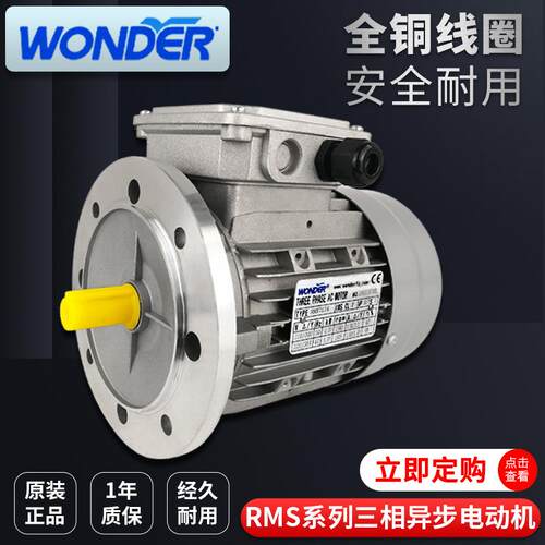 供应WONDER万德万达三相异步铝壳感应电动机RMS系列RMS8024