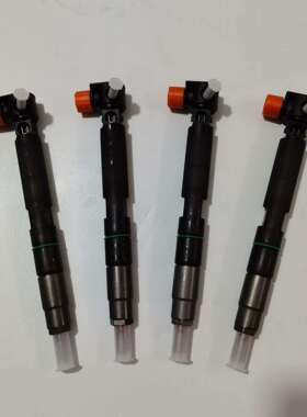 德尔福28337917喷油器 斗山400903-00074D喷油器