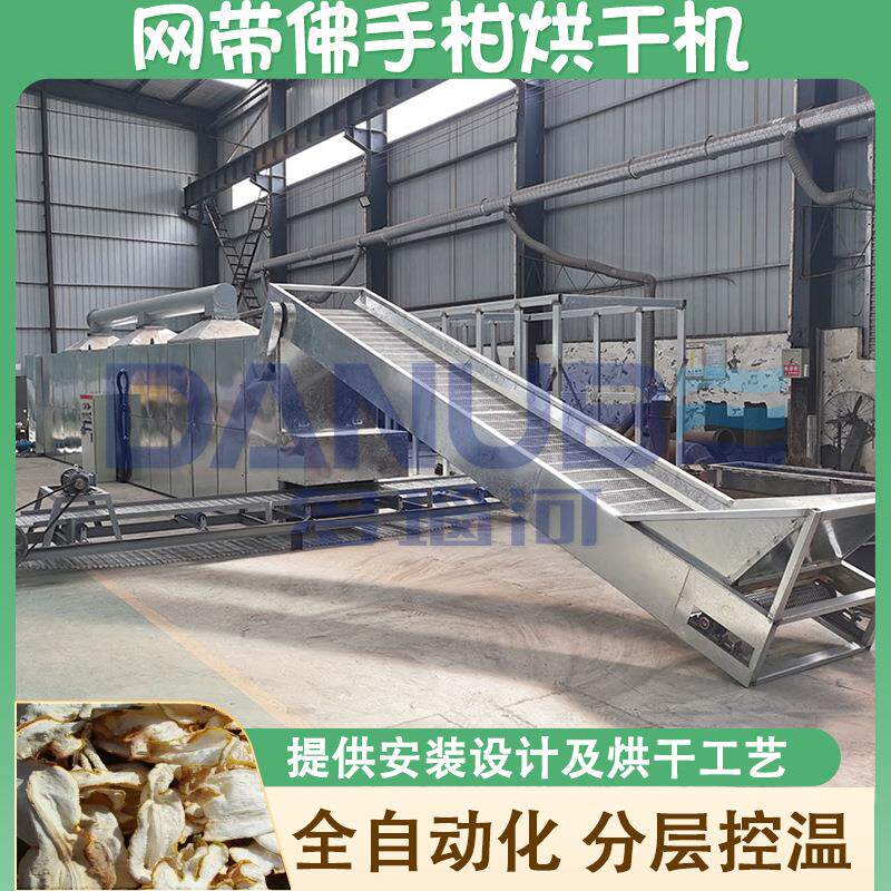 网带佛手烘干机连续式佛手果佛手干佛手片干燥机佛手柑烘干设备