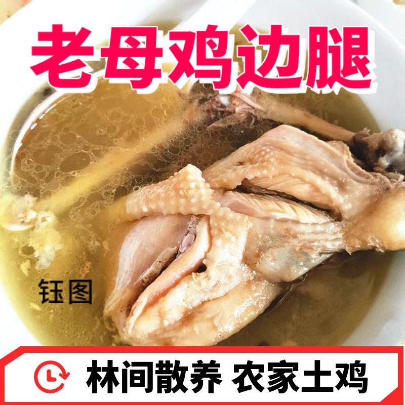 新品新鲜冷冻老母鸡腿生鸡腿鸡大腿生鲜鸡腿肉冷冻鸡边腿鸡腿鸡肉