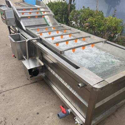 新疆大枣清洗机大枣清洗流水线不锈钢高压喷淋式清洗流水线