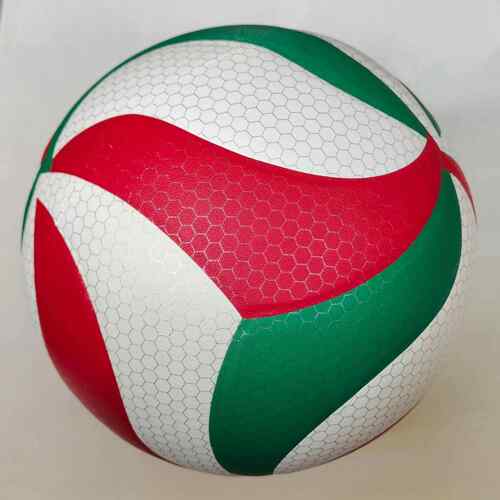 Professional Volleyball, outdoor sports, volleyba