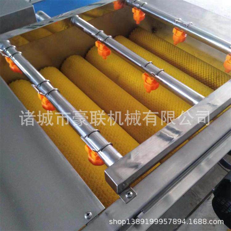 全新棕叶清洗机 高效清洗粽叶 菠萝叶 苇叶高效代替人工