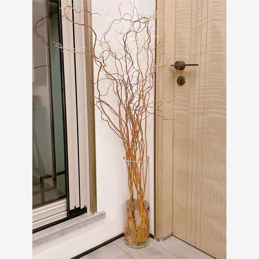 龙柳专用花瓶落地大花瓶高款加厚玻璃圆口直筒30405060cm高花瓶