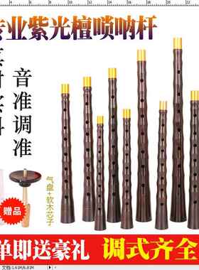 唢呐乐器专业演奏级唢呐杆子红白喜事紫光檀木定制平均孔降BGDC调
