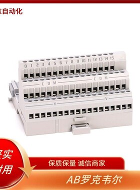 集成推进器杆夹具AllenBradleyLDAT-S152090-EB条形盖板