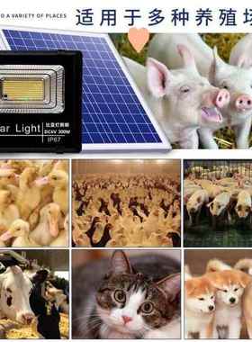 太小阳能加温灯T52878鸡育雏温灯温养殖保场控器芦丁鸡自动控温加