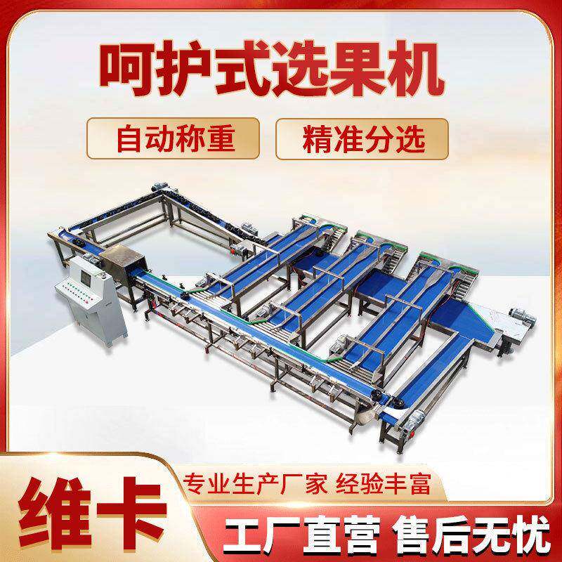 苹果梨桃子无损分拣机水果自由果托式分选机可测糖测霉心无磕碰