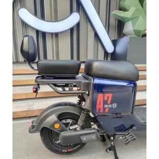 深远A7/A8/T300后坐垫加厚加宽前座毛毛虫后座竞速UB/A9靠背扶手