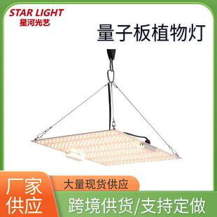 全光谱LED植物生长灯量子板多肉育苗绿植花卉大棚室植物灯补光灯
