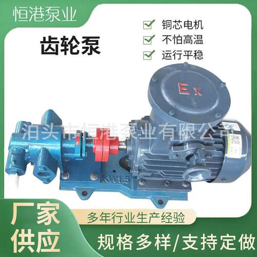滤油机泵滤油机齿轮泵压滤机齿轮泵现货供应