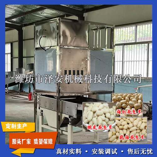 工厂定制不锈钢花生米脱皮设备花生红衣去皮机乳白花生设备
