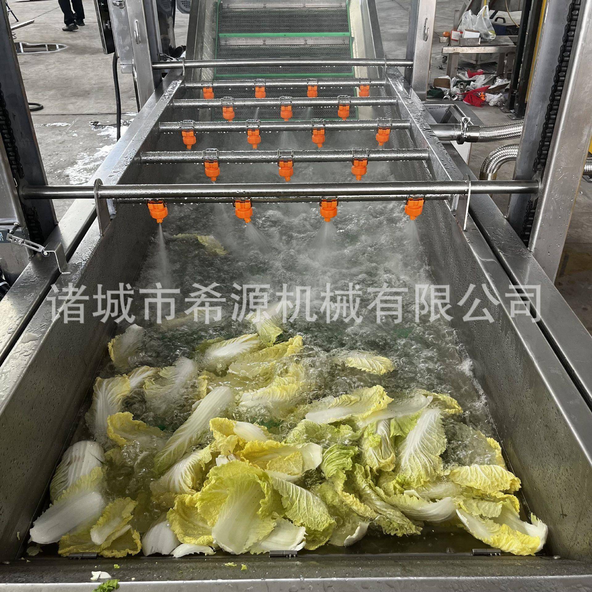 果蔬毛豆清洗机气泡冲浪酱腌菜清洗机去除农药残留臭氧清洗机