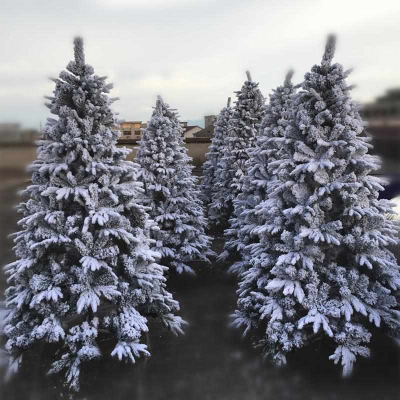 圣诞树家用白色树套餐1.5/1.8/2.1/2.4/3植绒雪松摆件节装饰品厂