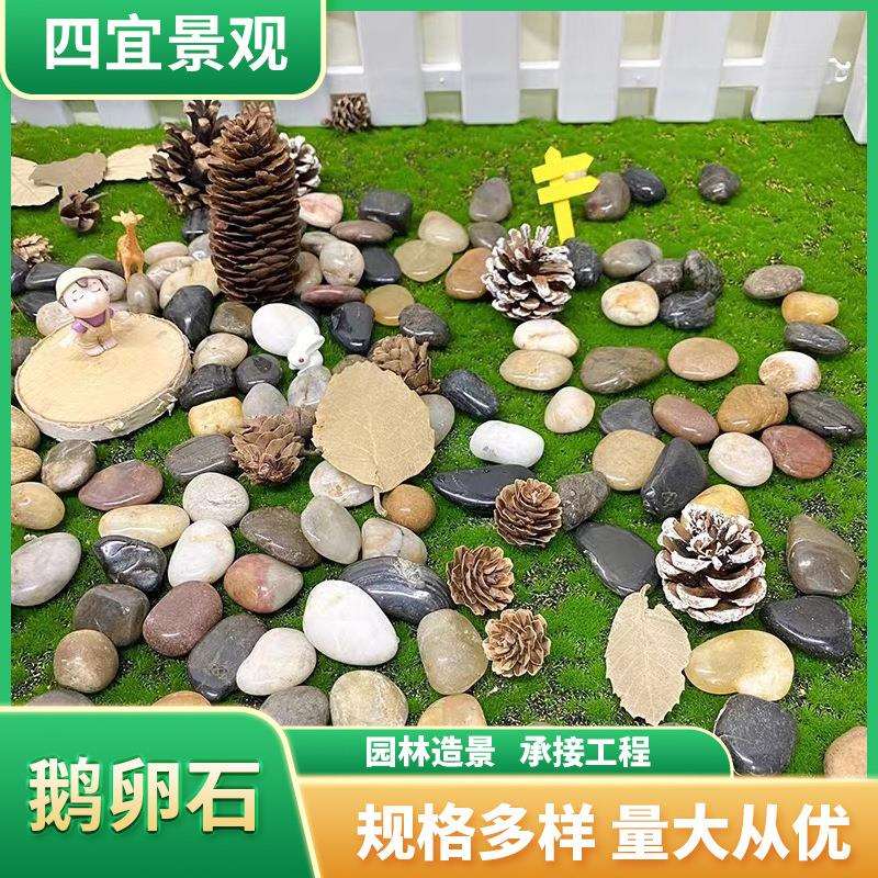 鹅卵石雨花石天然小石子庭院装饰园艺五彩石头厂家现货