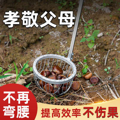 捡板栗神器捡拾不锈钢可伸缩杆捡果子免弯腰捡栗子农用工具收集器