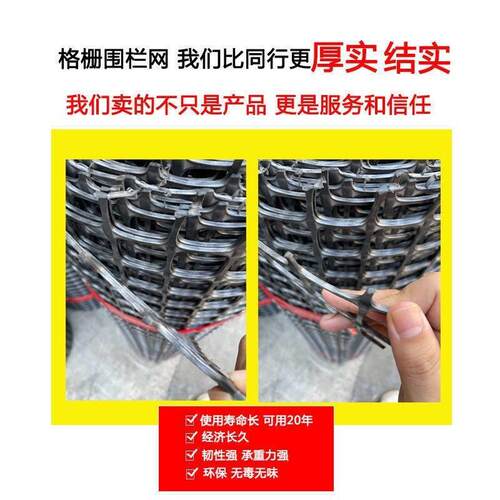 特厚塑料围栏网养殖网圈山圈地圈果菜园格栅网塑胶栏土工格栅玉米