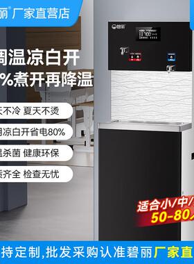 碧丽商用饮水机办公室全自动净水直饮机电热水机学校单位烧开水器