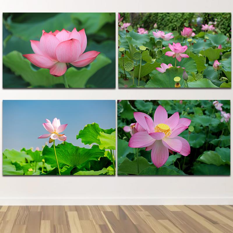 荷花装饰画田园风景莲花莲子海报墙贴画简约客厅卧室床头挂画花卉图片