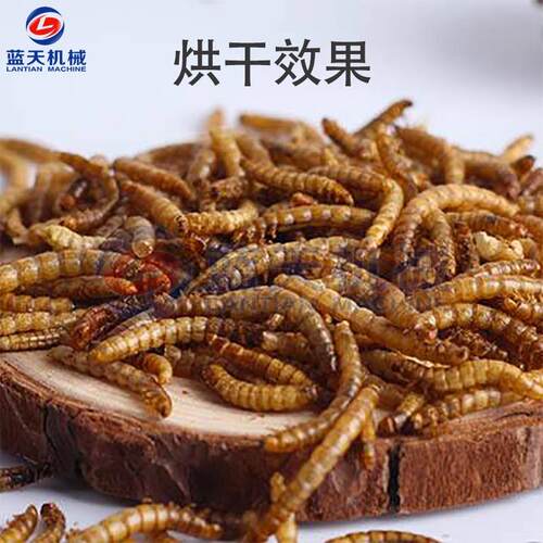 空面气能蛋白虫烘干机  大型热泵粉虫烘干房LT-DBC全黄自动包虫干
