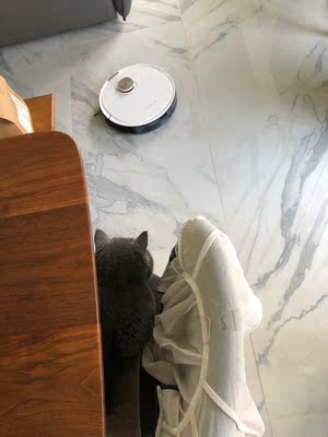 科沃斯地宝T8扫地机器人怎么样？刚上手就后悔了是吗？