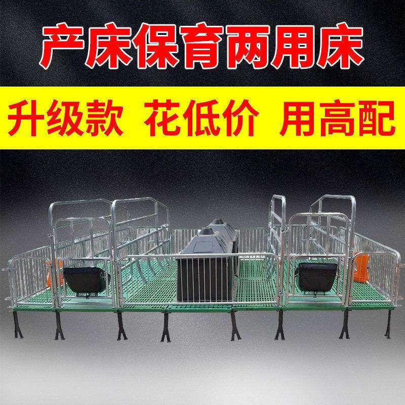 母猪产床仔猪保育床落地式母猪产保一体欧式产床复合限位栏定位栏
