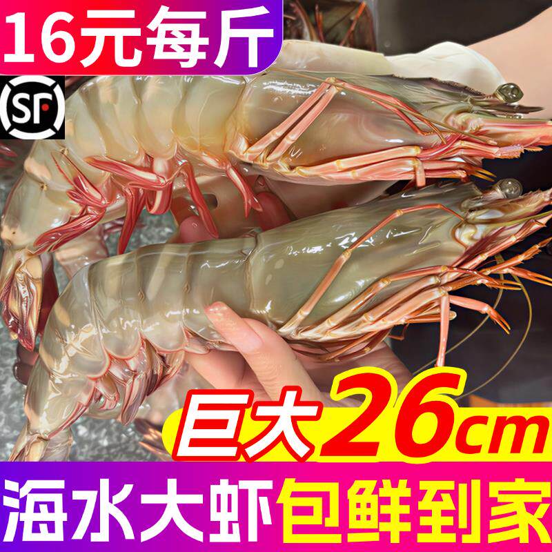 大虾鲜活超大特大青虾冷冻青岛对虾明虾海虾虾类海鲜基围虾水产