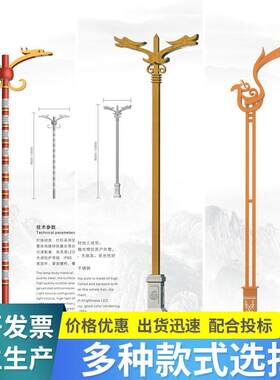 专业定制景区广场节日文化路灯led户外仿古民族路灯6米8米景观灯
