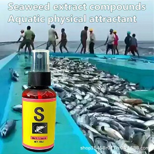 S诱鱼水剂bait液体海藻品质亚热卖外贸添加剂钓鱼小药