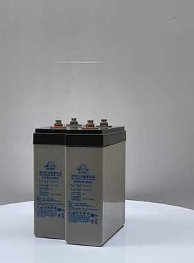 理士DJ100阀控式密封铅酸蓄电池（2V200/300/500/800AH）UPS电源